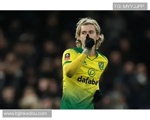 谢菲尔德与诺维奇的激烈对决谁能在赛场上笑到最后