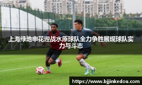 zoty中欧最新地址